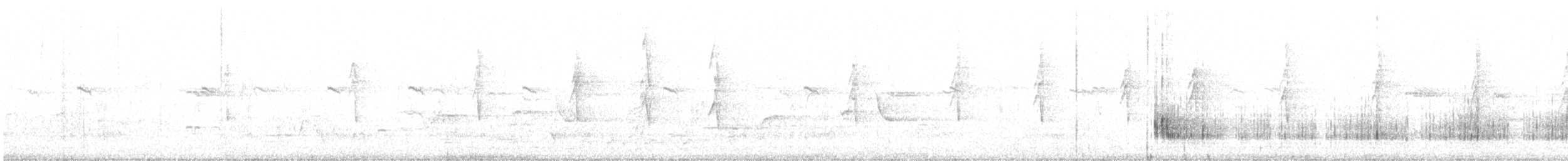 Міагра білогорла - ML646682064