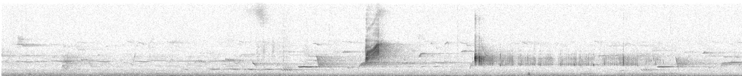 Міагра білогорла - ML646682065