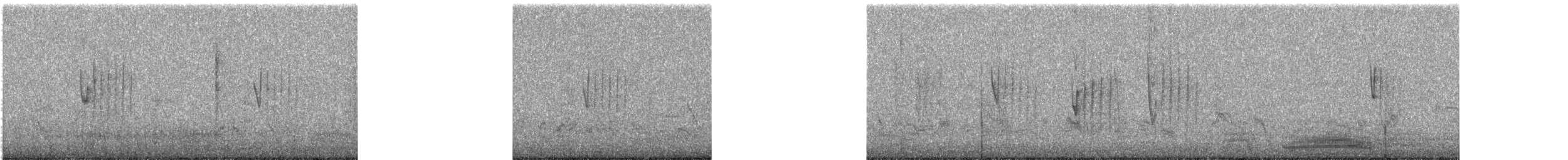 Hirondelle à gorge grise - ML646682099