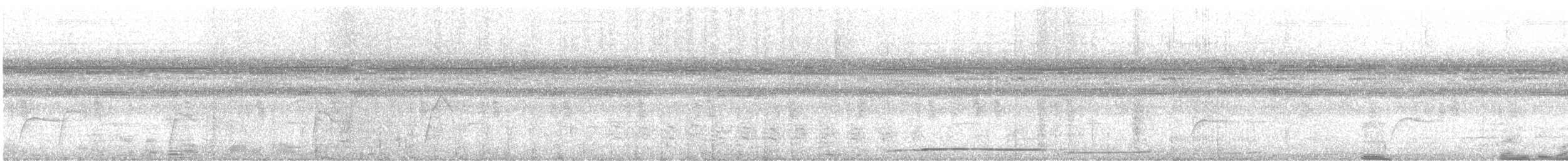 Klagetagschläfer - ML646682166