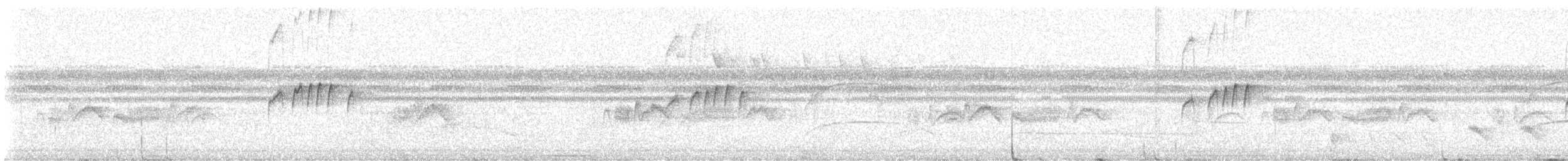 Yellow-bellied Elaenia - ML646682248