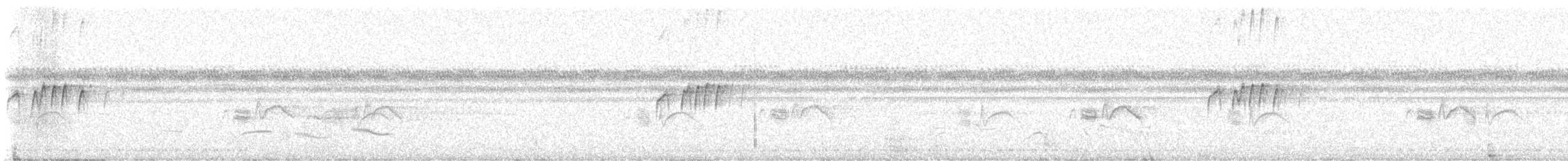 Yellow-bellied Elaenia - ML646682249