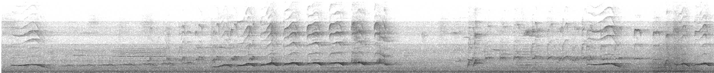 Coucou koël - ML646682338