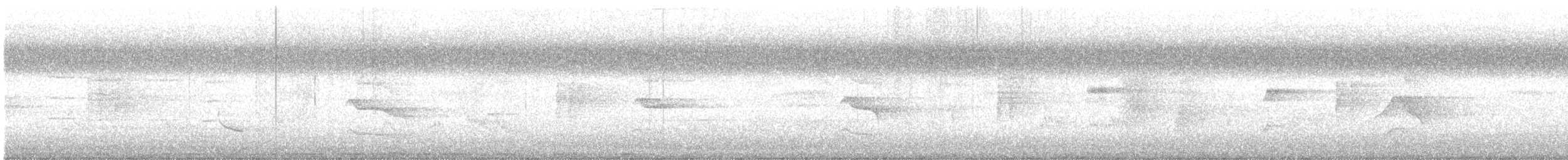 Krähendrongo - ML646682349