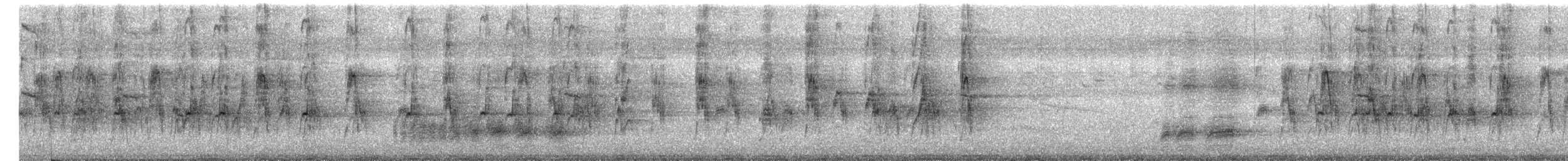 Black Bulbul - ML646682460