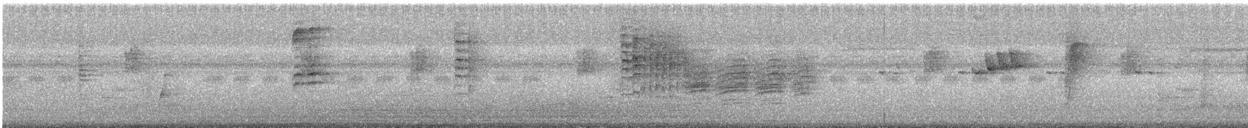 White-bellied Erpornis - ML646682470