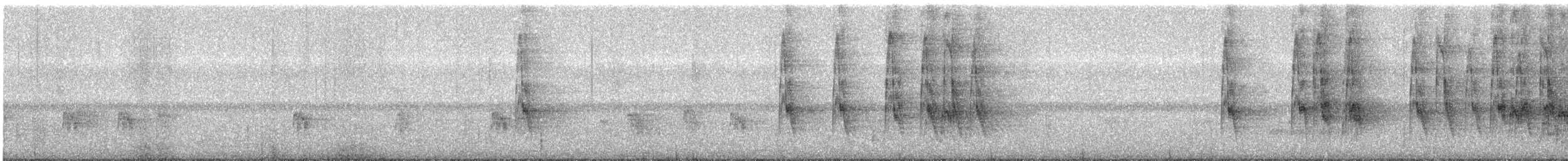 Black Bulbul - ML646682662