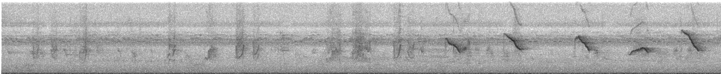 vlaštovka pacifická - ML646682676