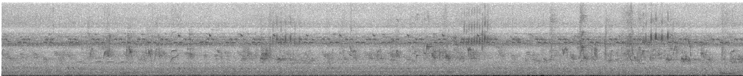 vlaštovka pacifická - ML646682677