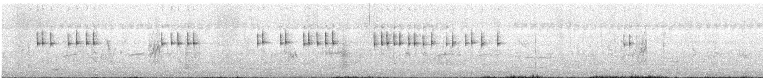 Plain Prinia - ML646682686