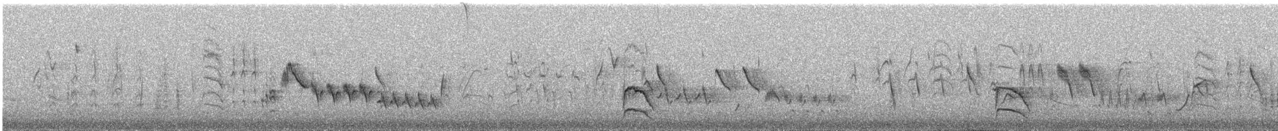 datel černohrdlý - ML646682948