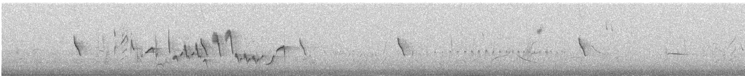 datel černohrdlý - ML646682949