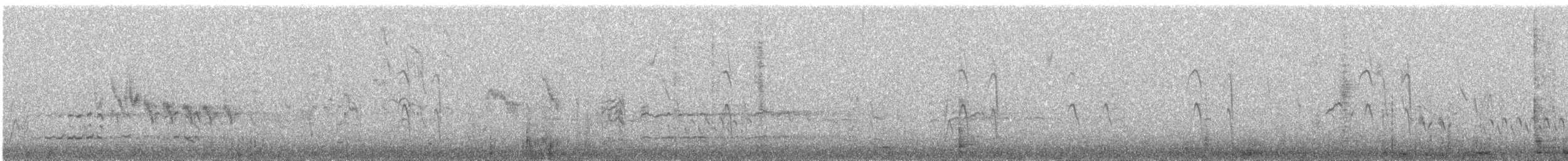 Aplomado Falcon - ML646683065