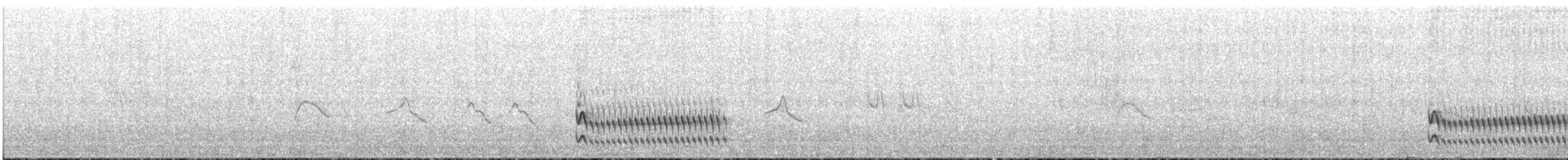 Tschudi's Tapaculo - ML646683454