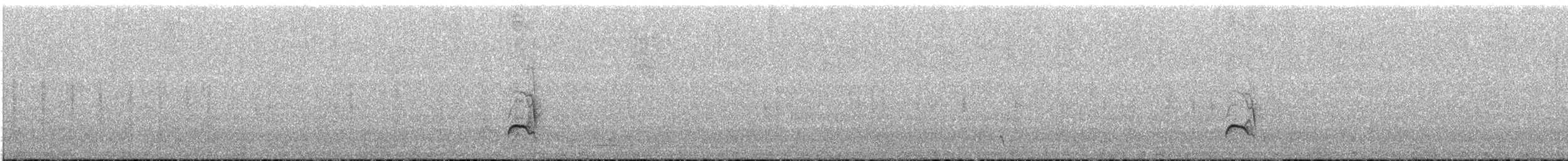 Brown-backed Chat-Tyrant - ML646683508