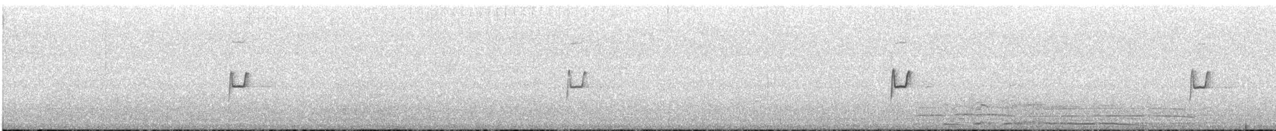 Brown-backed Chat-Tyrant - ML646683509