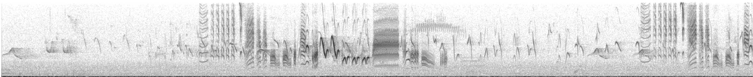 Southern House Wren - ML646683539