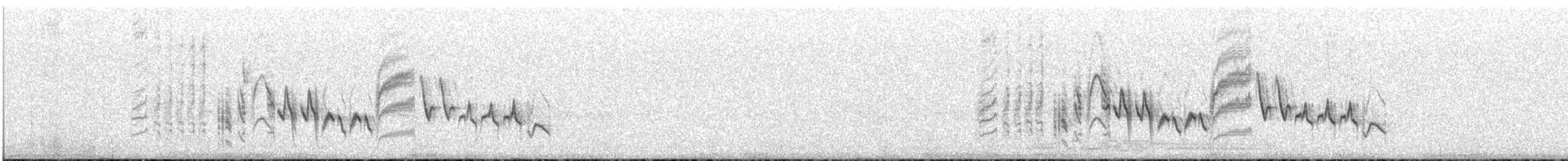 Southern House Wren - ML646683542