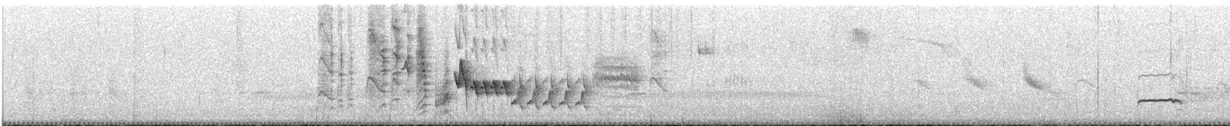 Southern House Wren - ML646683543