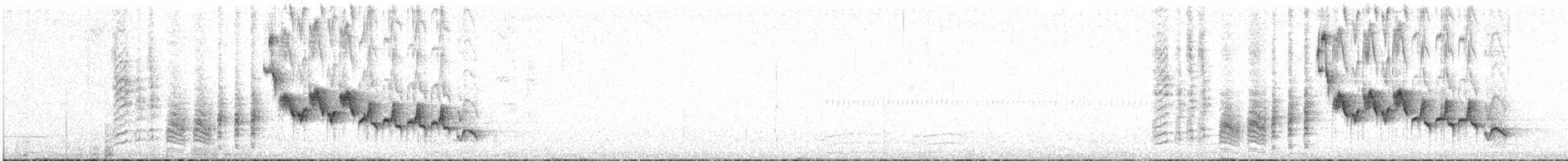 Southern House Wren - ML646683544