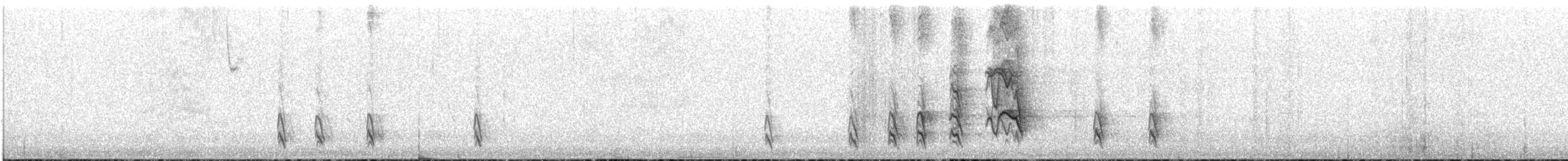 Дрізд великий - ML646683764