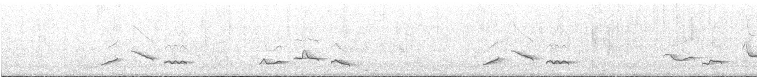 Great Thrush - ML646683767