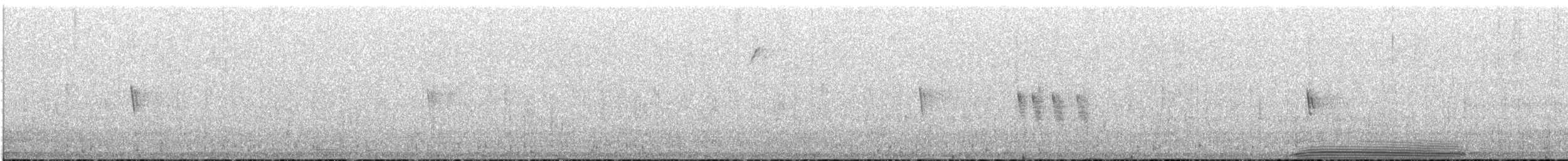 Bruant chingolo - ML646683799