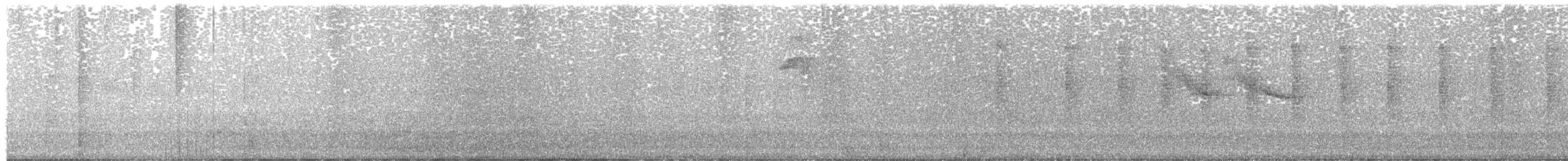 Colibri hirondelle - ML646683815