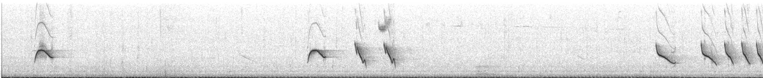 Peruvian Slaty Brushfinch - ML646683830