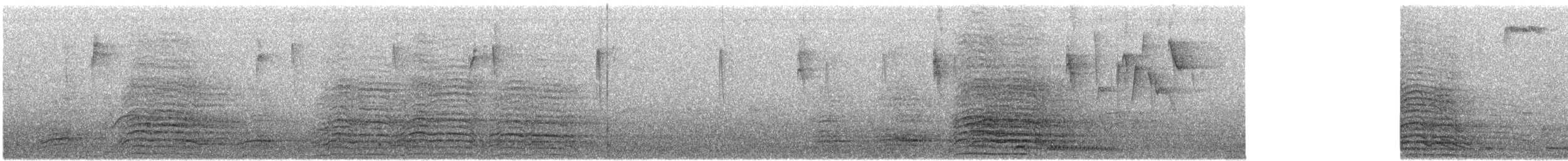 Hadada Ibis - ML646683903