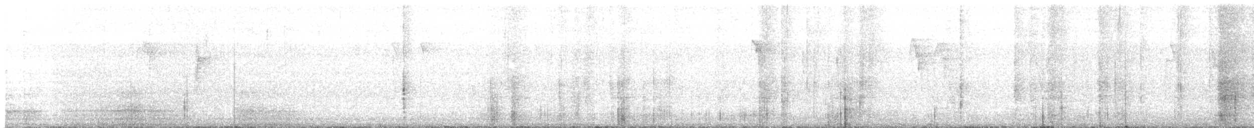 Paseriforme sp. - ML646683968