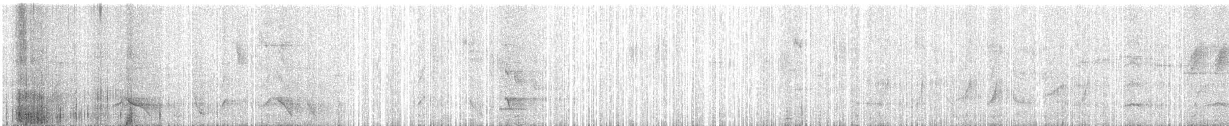 Superb Lyrebird - ML646683976