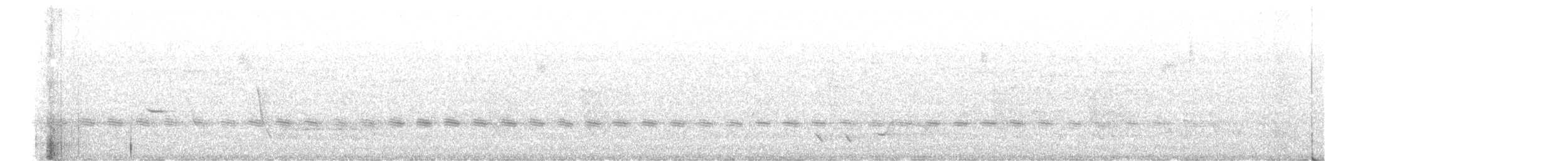 Sahul Cicadabird - ML646683994