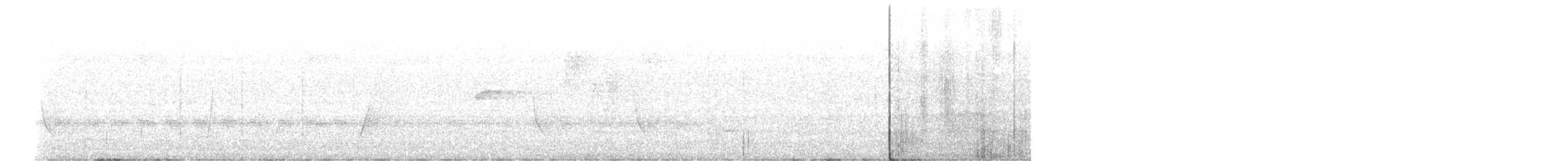 Sahul Cicadabird - ML646683998