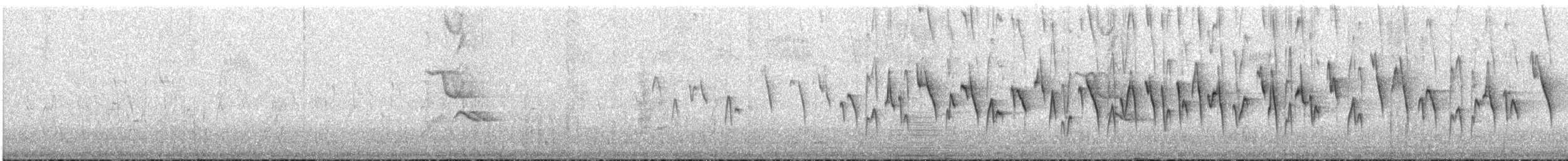 Moustached Flowerpiercer - ML646684050