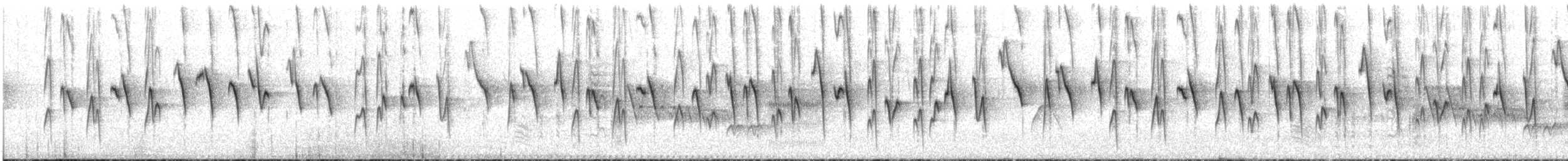 Moustached Flowerpiercer - ML646684051