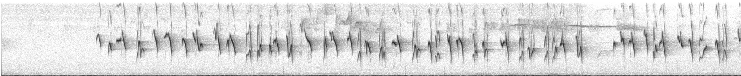 Moustached Flowerpiercer - ML646684052