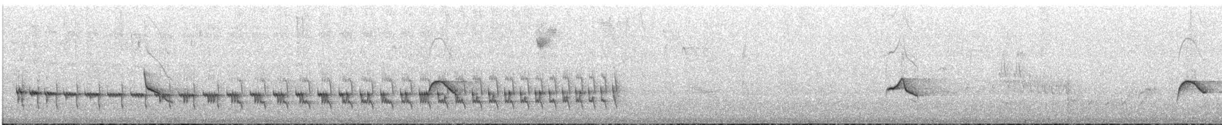 Panao Antpitta - ML646684123