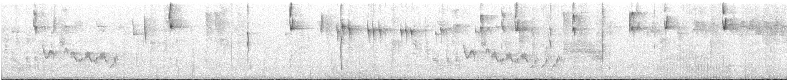 Superciliaried Hemispingus - ML646684125