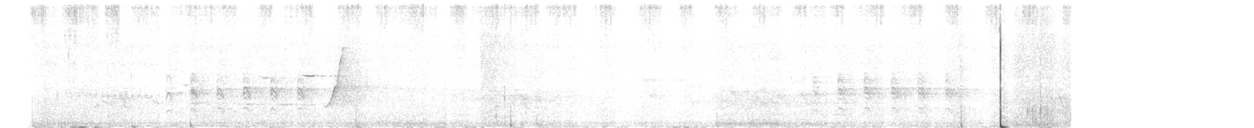 Sacred Kingfisher - ML646684271