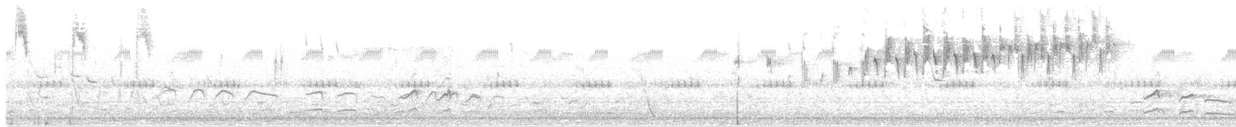 křepelka čínská - ML646684390