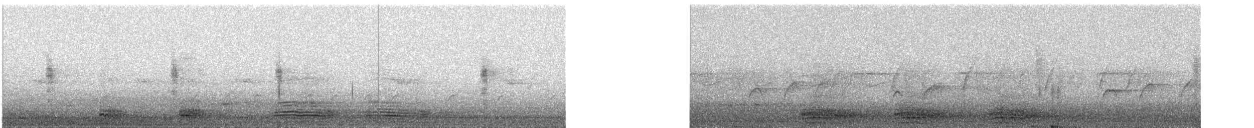 vrána tlustozobá [skupina macrorhynchos] - ML646684479