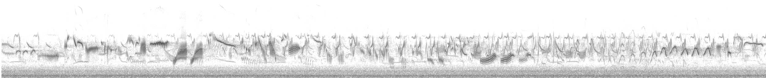 skřivan polní [skupina arvensis] - ML646684490