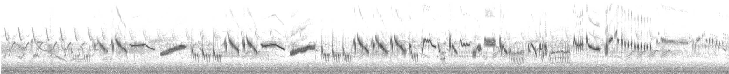 skřivan polní [skupina arvensis] - ML646684491