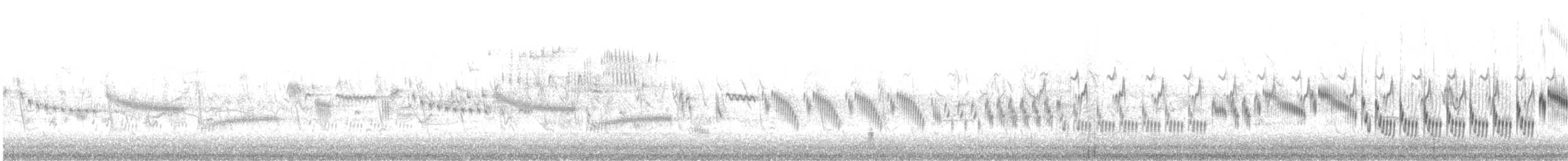 skřivan polní [skupina arvensis] - ML646684493