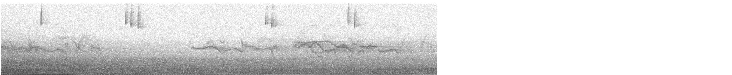 strnad čínský (ssp.) - ML646684562