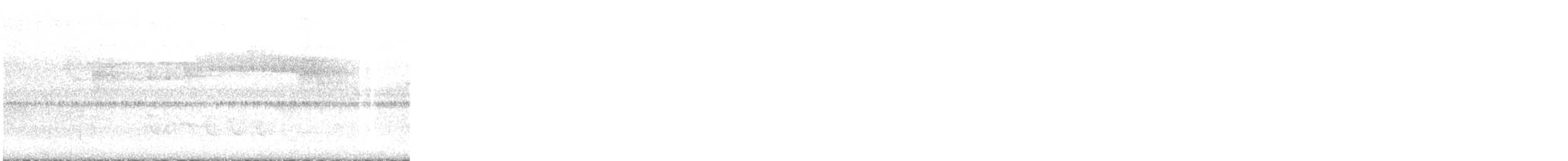 Weißbindenbekarde - ML646684645