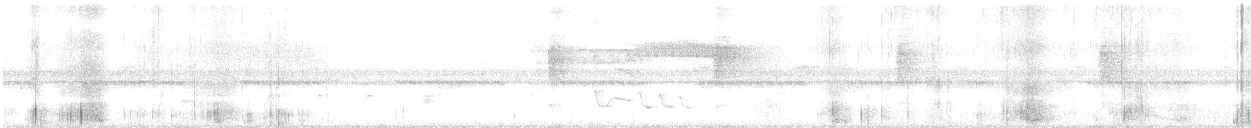 Weißbindenbekarde - ML646684646