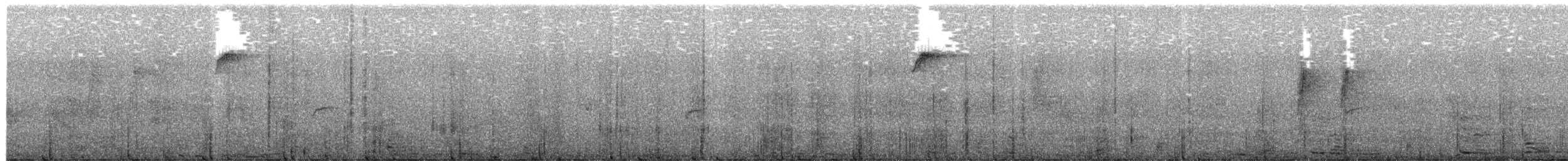 Japanese Robin - ML646684721