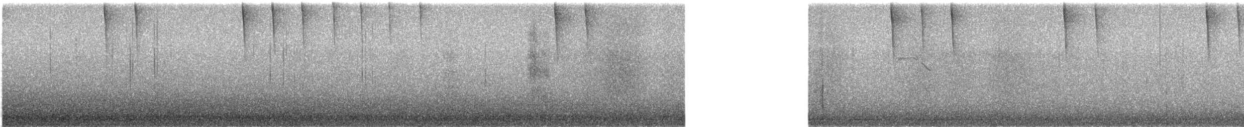 Sperlingsvogel, unbestimmt - ML646684780